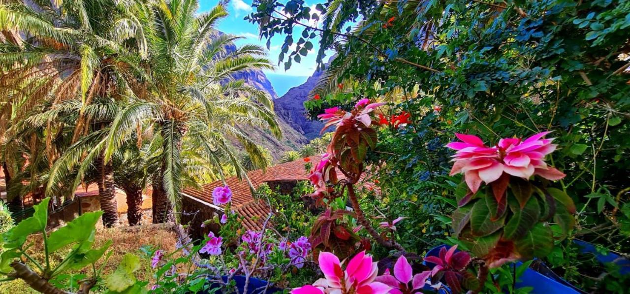 Paradise Tenerife San Miguel de Abona Eksteriør billede